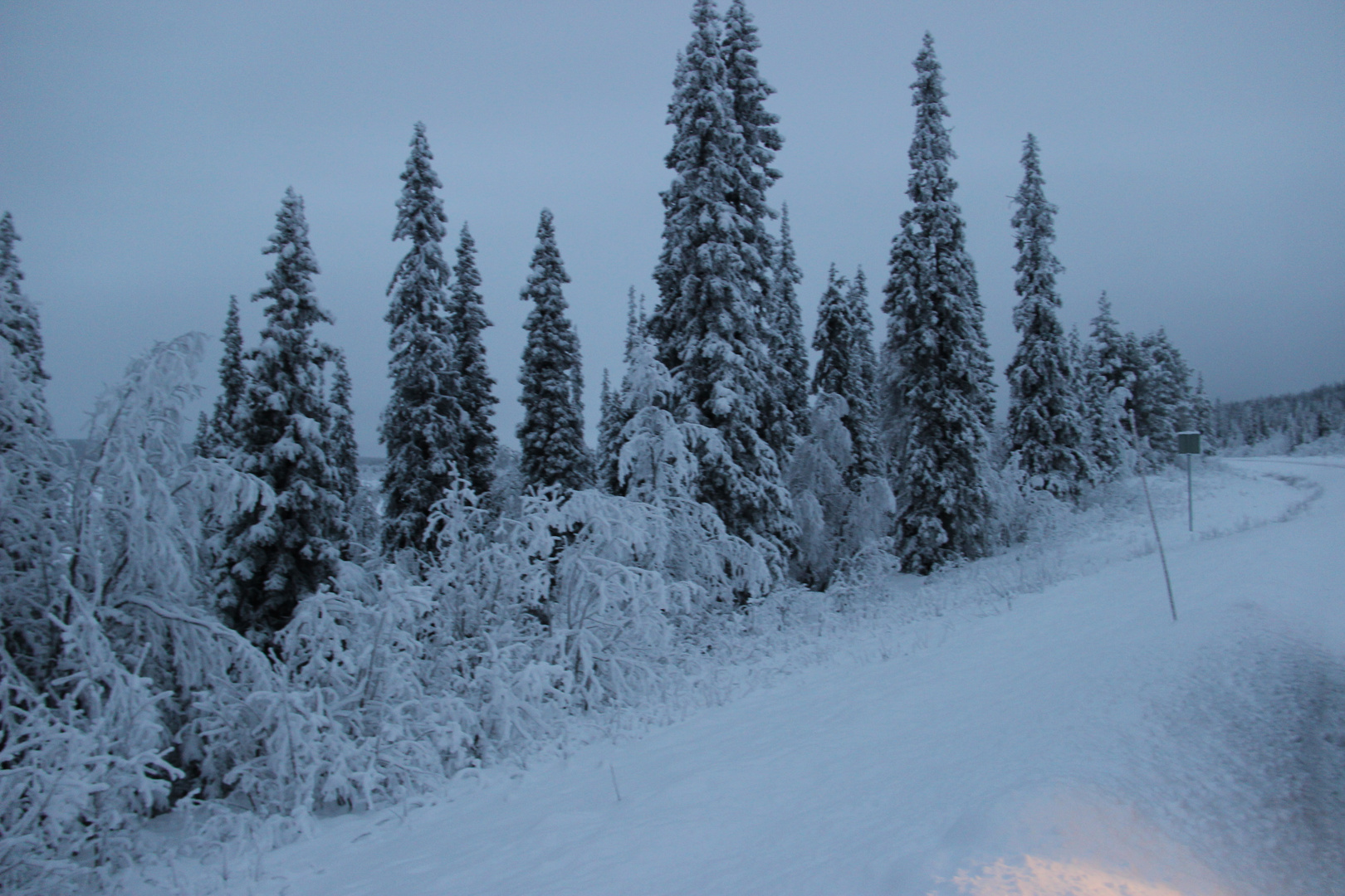 Der erste Schnee