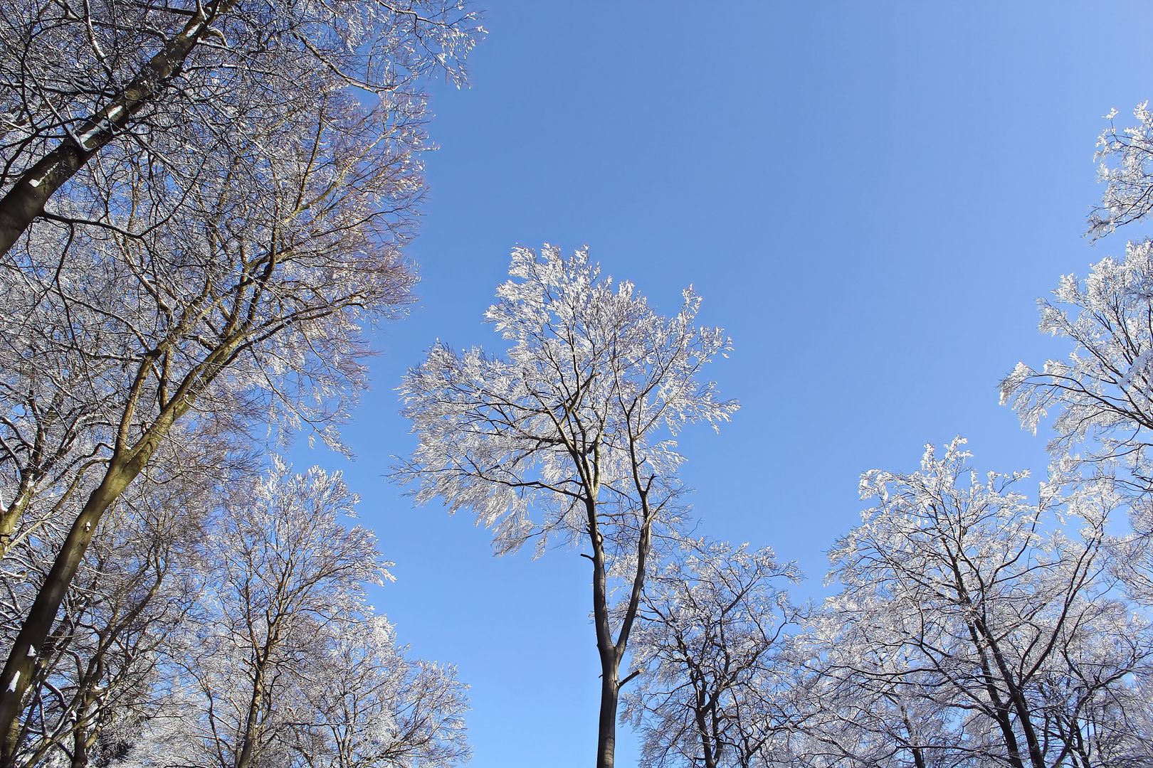 Der erste Schnee, der aber schon wieder getaut ist