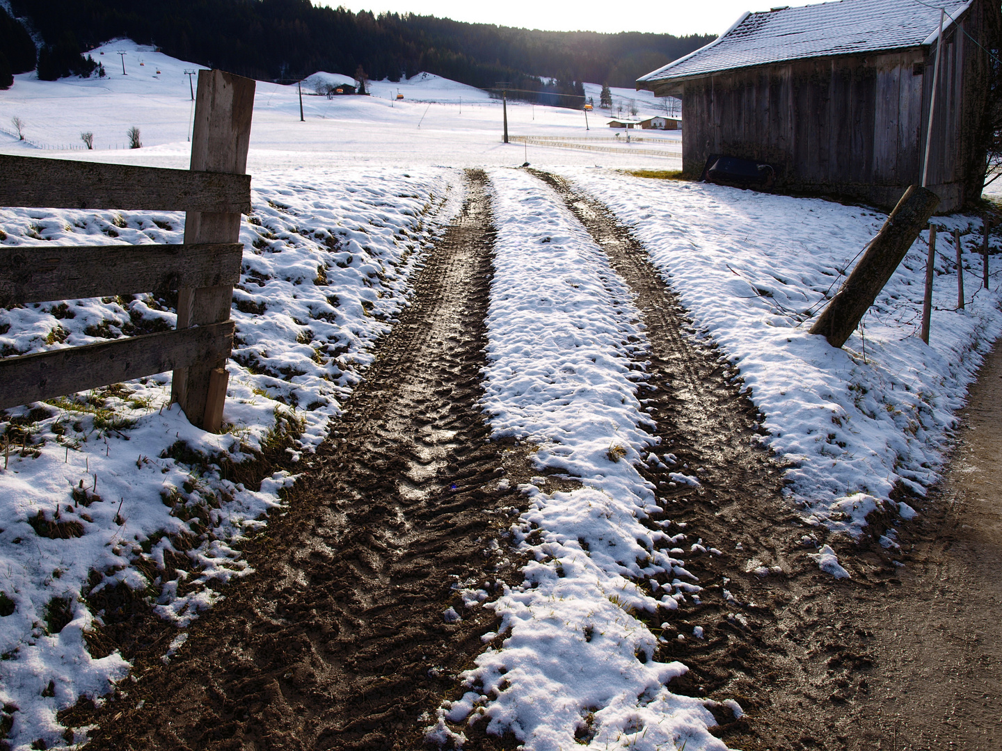 Der erste Schnee Dez. 2014