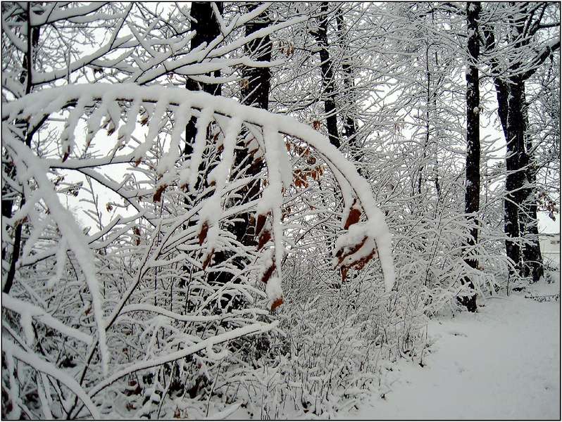 der erste Schnee dieses Jahr...