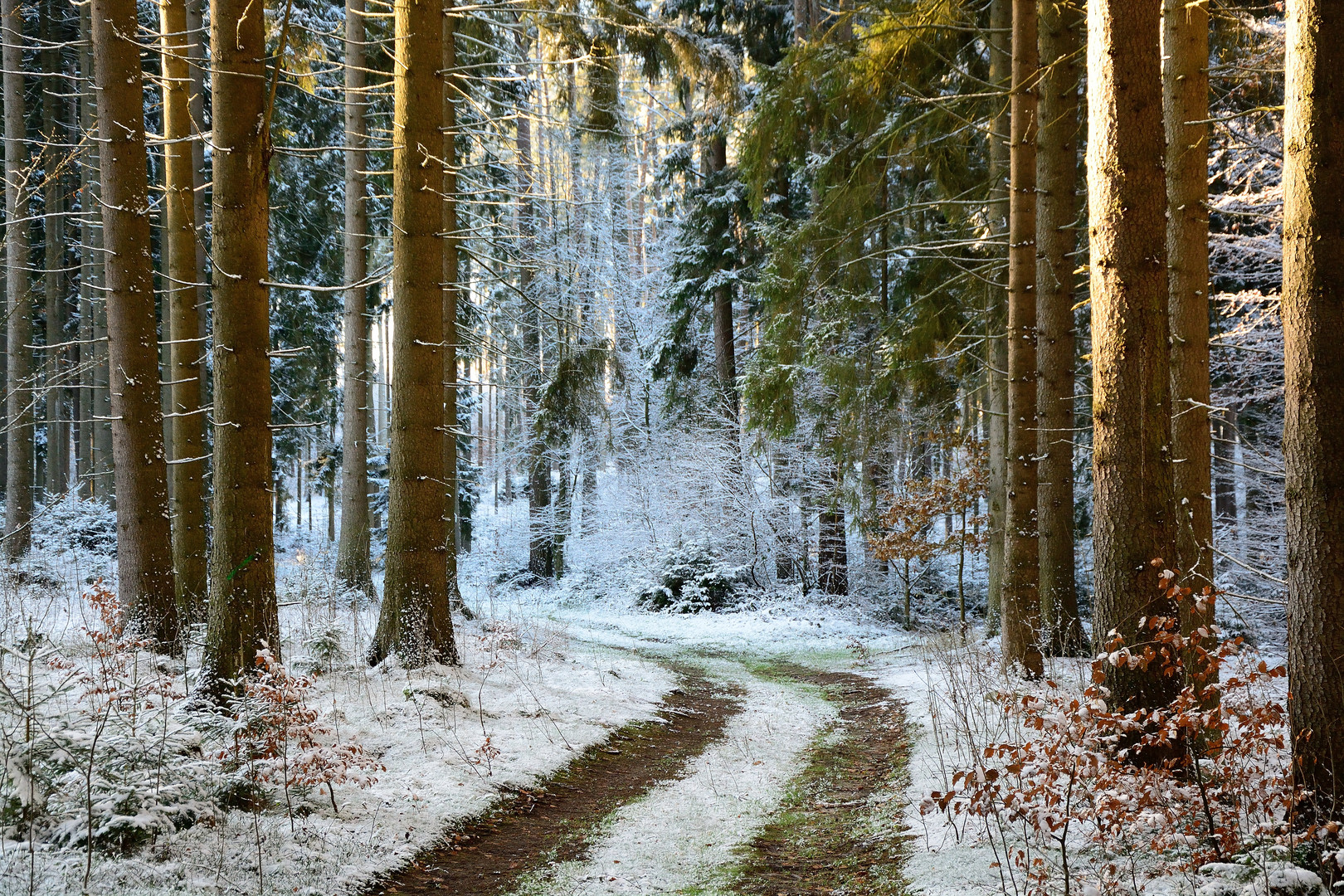 Der erste Schnee