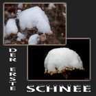 Der erste Schnee