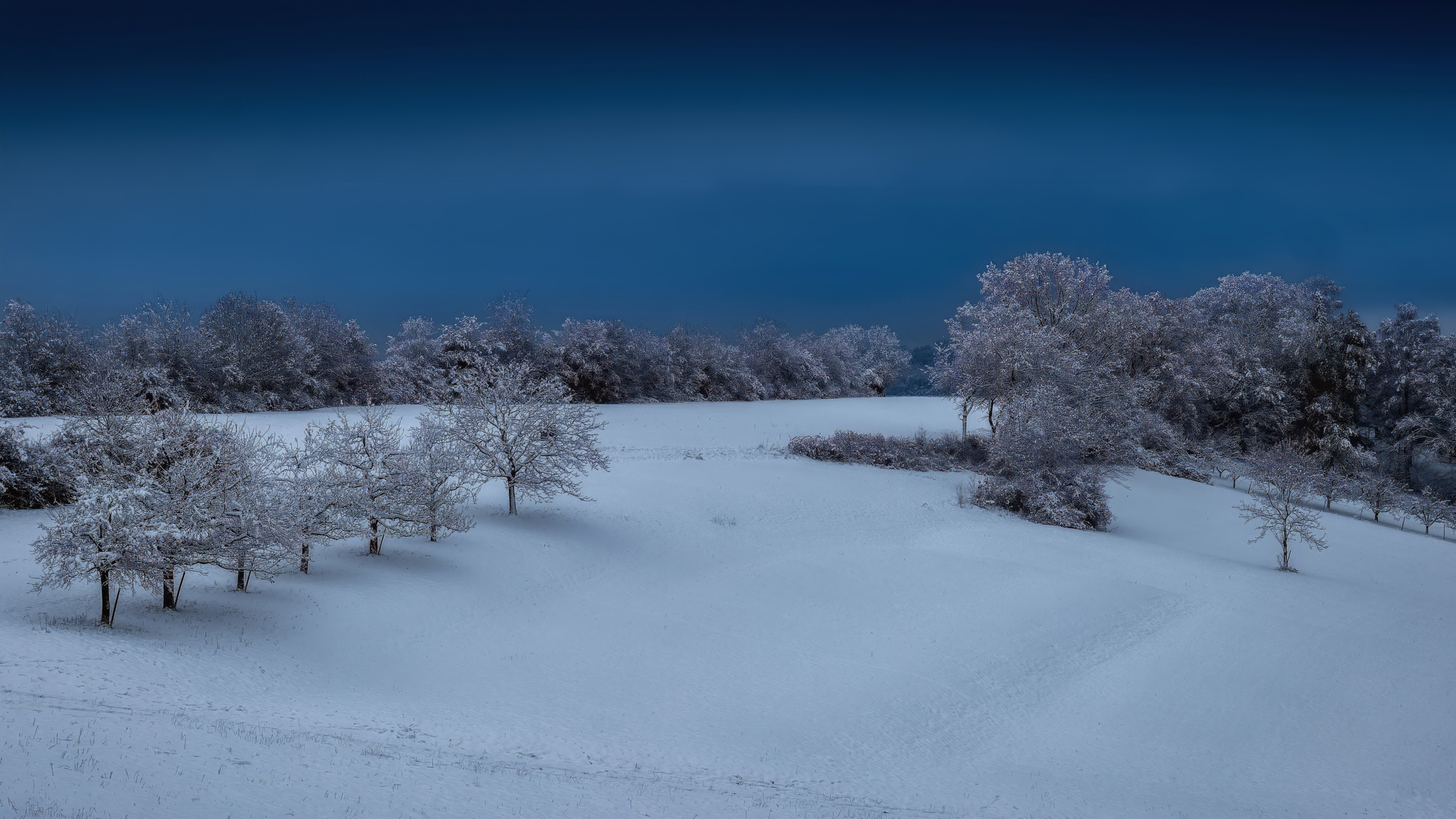 Der erste Schnee 