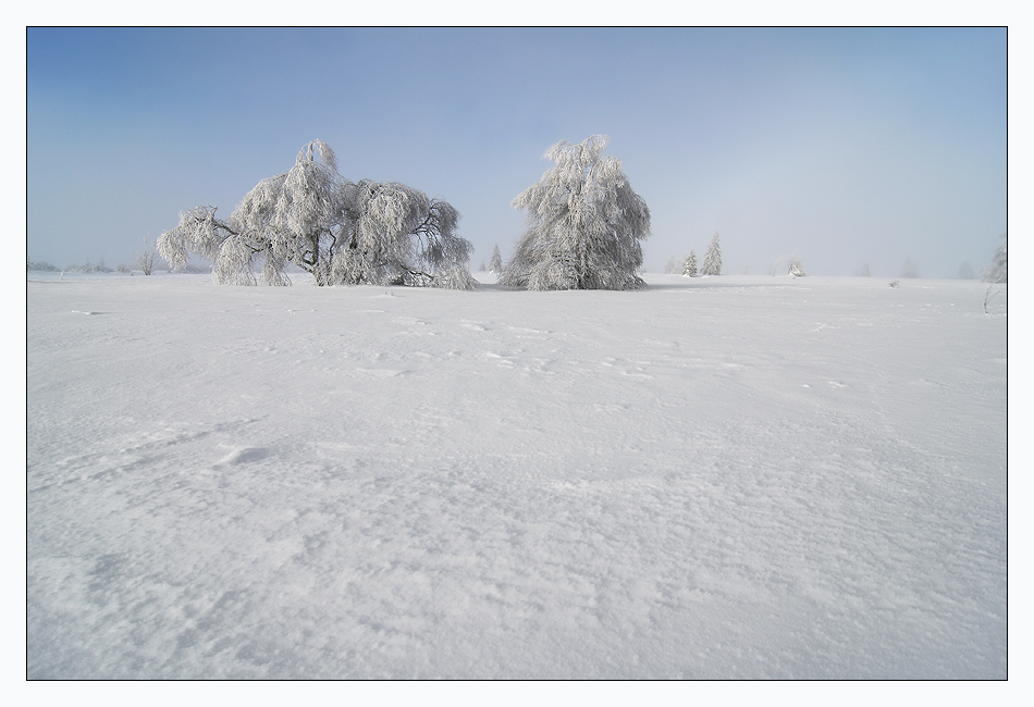 Der erste Schnee!