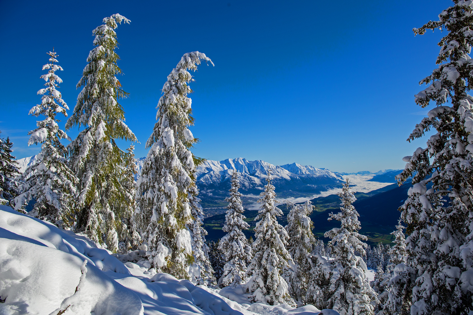 der erste Schnee