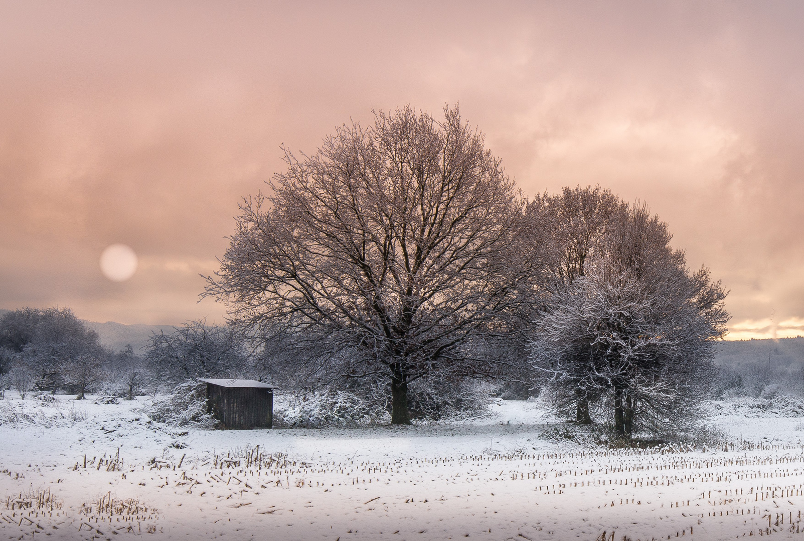 Der erste Schnee II