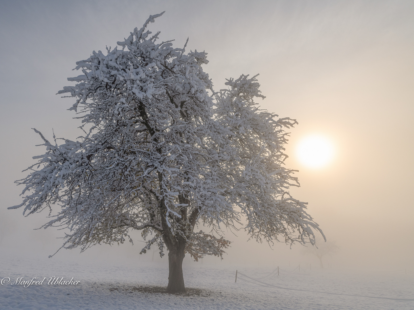 Der erste Schnee im ...