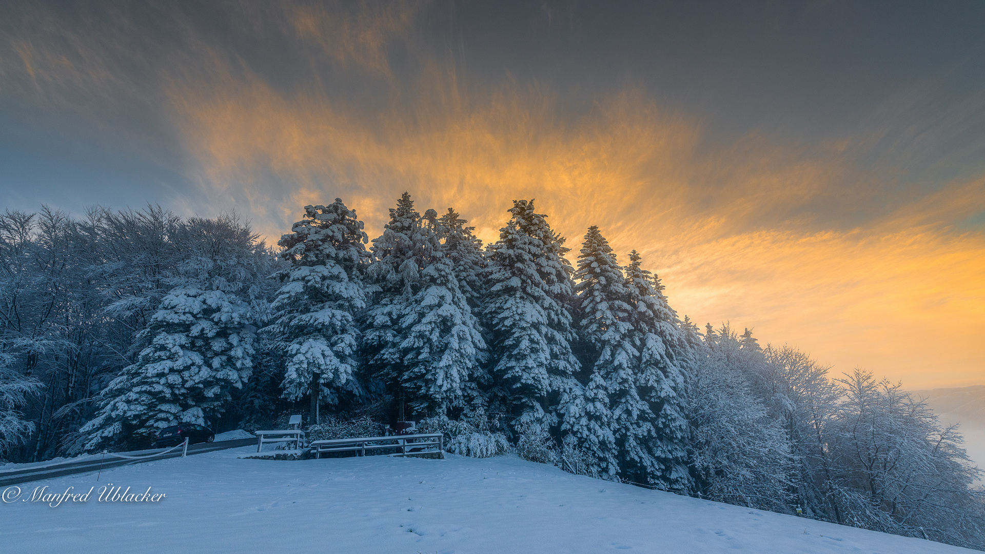 Der erste Schnee im ...