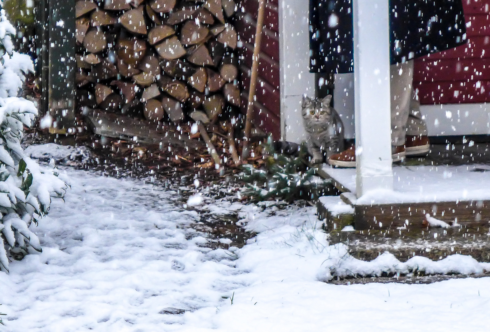 Der erste Schnee im Leben