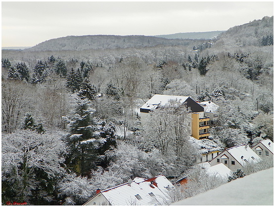 Der erste Schnee im Neuen Jahr 2012;-))