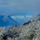 Der erste Schnee im Rhonetal. - La première neige dans la vallée du Rhône...