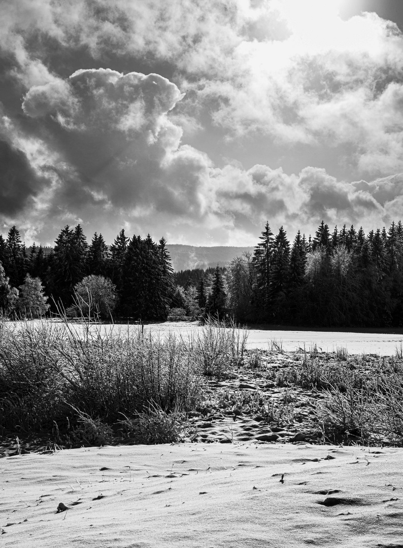 Der erste Schnee im Schwarzwald-1