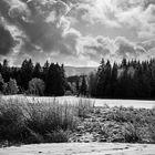 Der erste Schnee im Schwarzwald-1