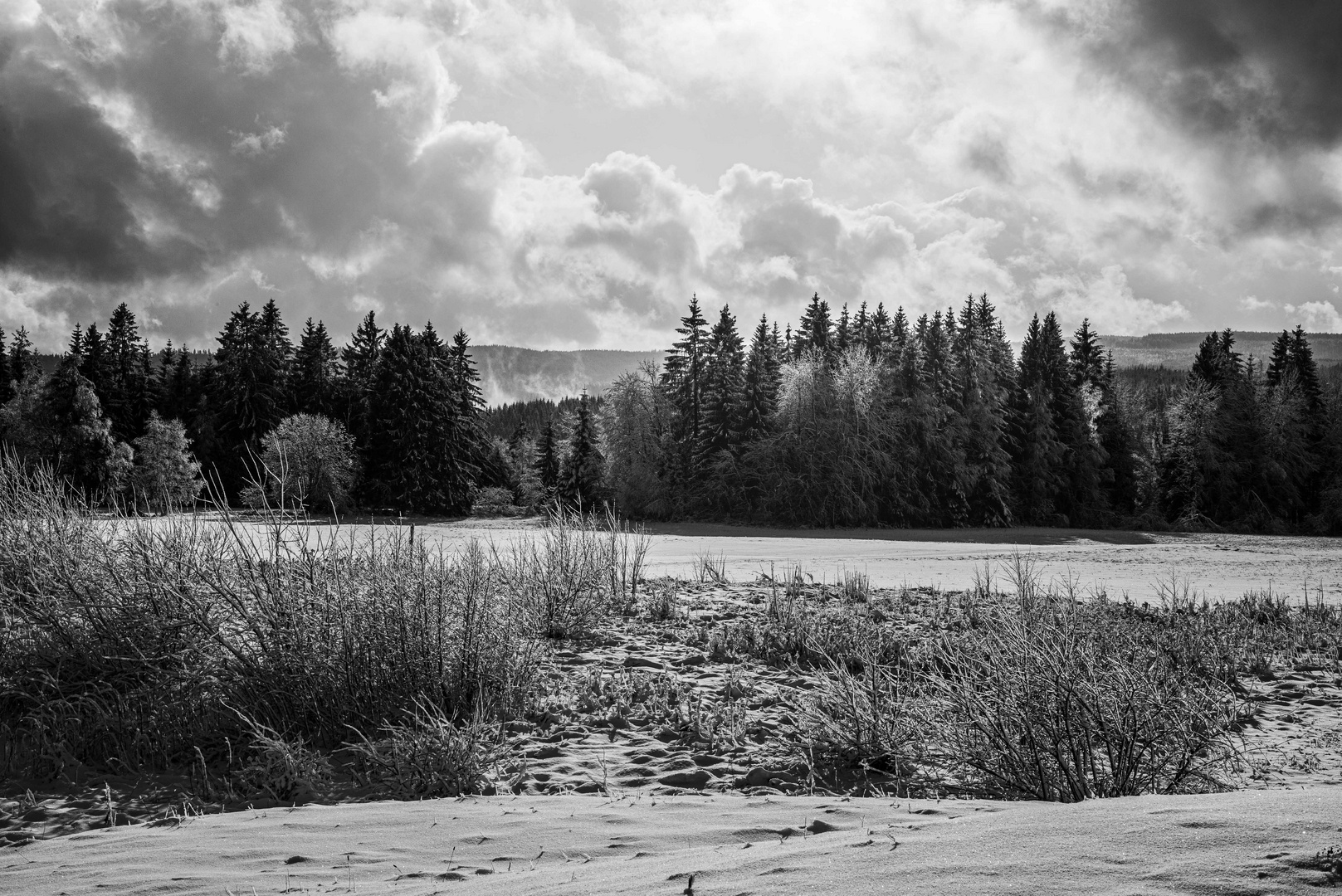 Der erste Schnee im Schwarzwald-2