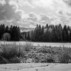 Der erste Schnee im Schwarzwald-2