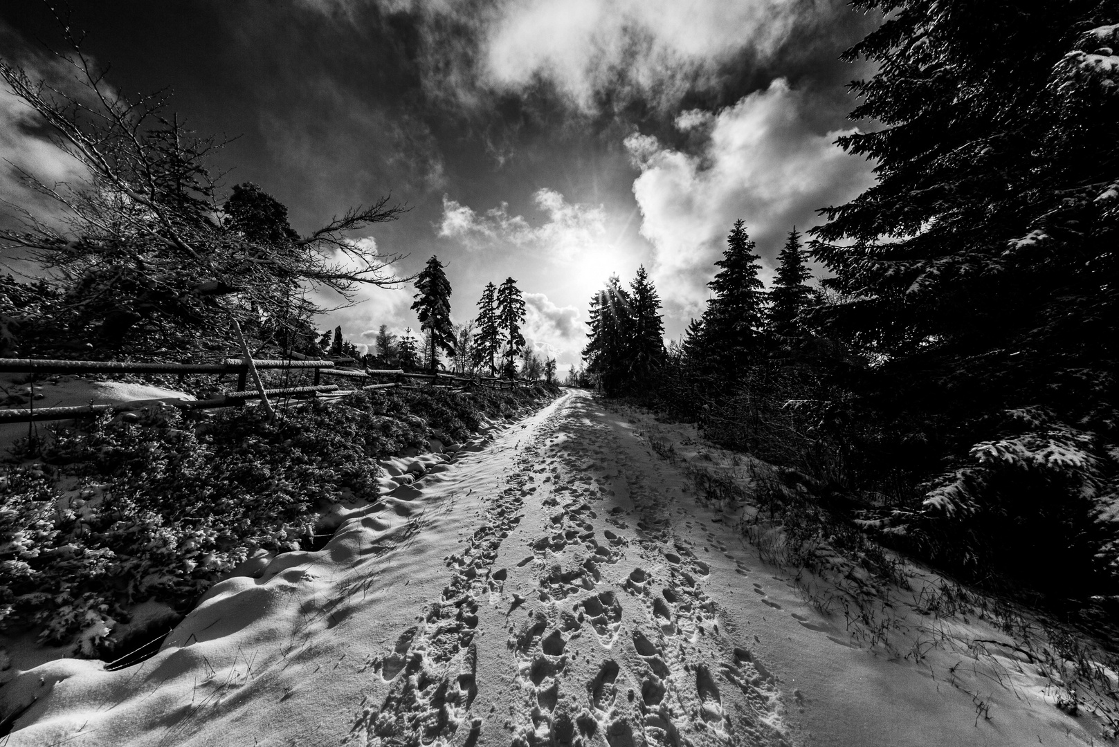 Der erste Schnee im Schwarzwald-3