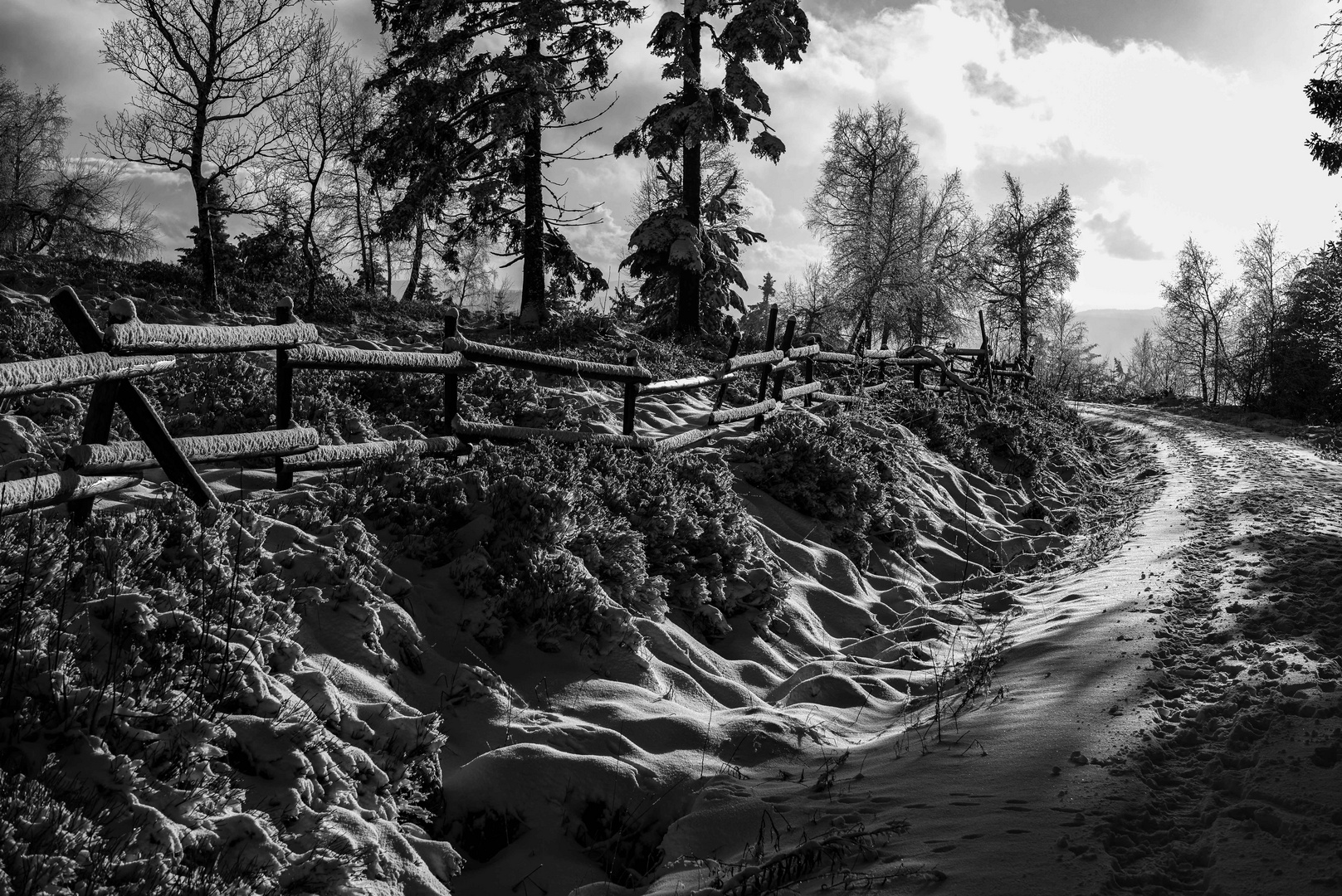 Der erste Schnee im Schwarzwald-4