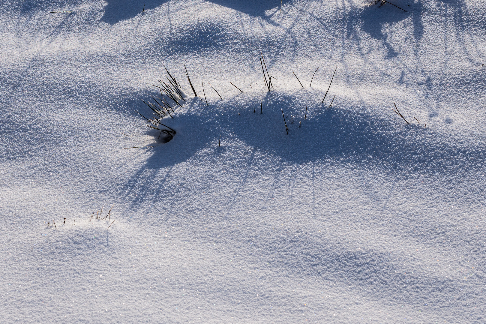 Der erste Schnee im Schwarzwald-6