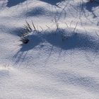 Der erste Schnee im Schwarzwald-6