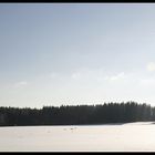 Der erste Schnee im Schwarzwald, November 07