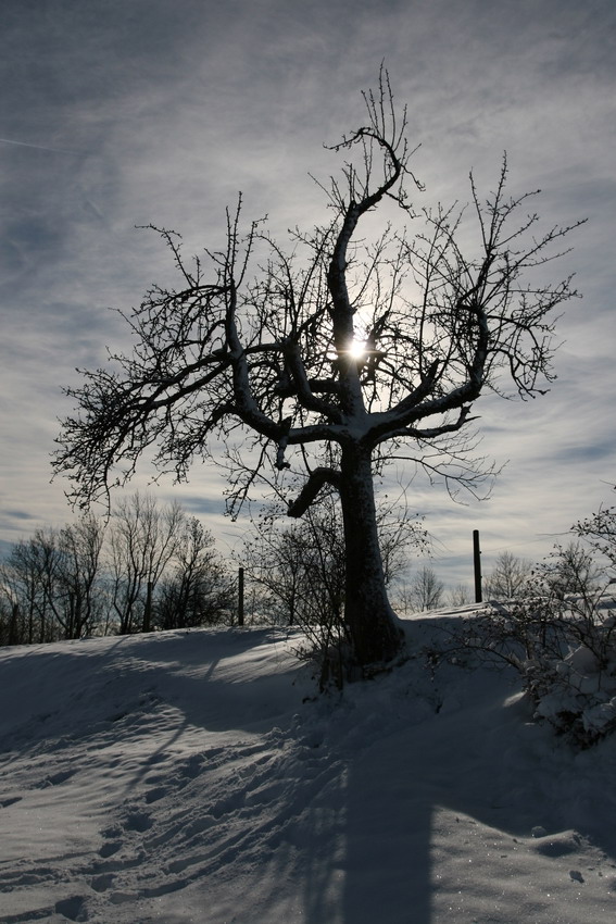 Der erste Schnee im Winter 2008...