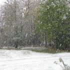 der erste Schnee im winter 2010/11