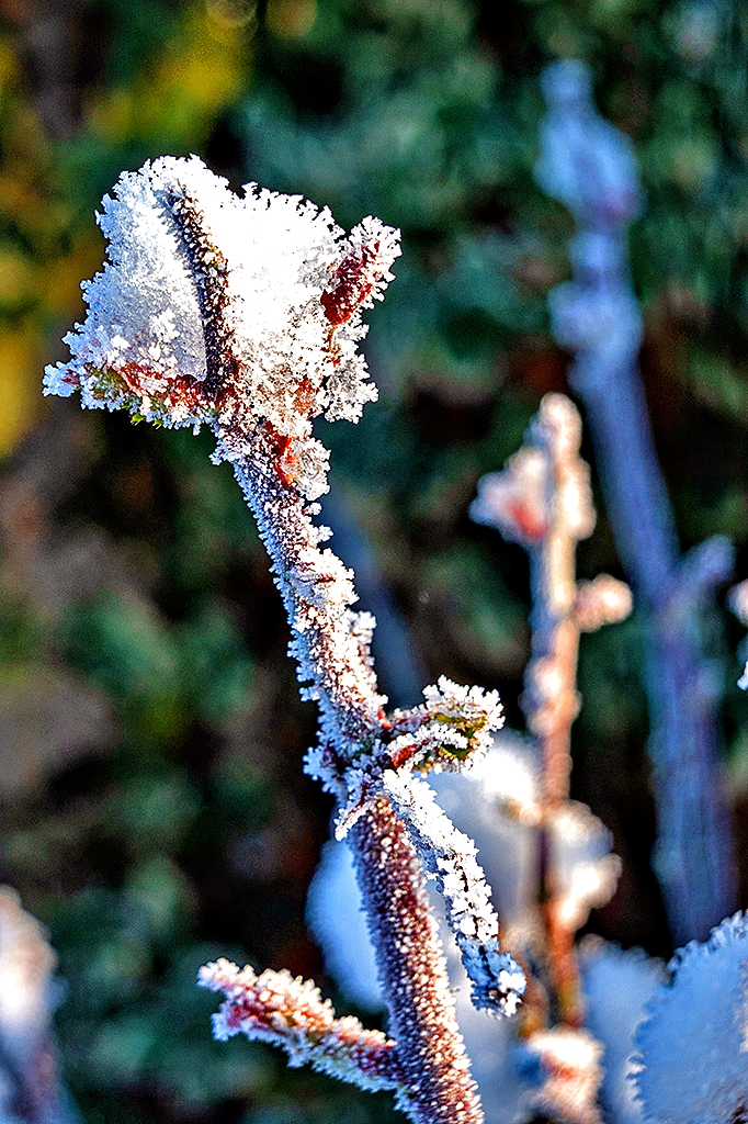 Der erste Schnee im Winter 22/23