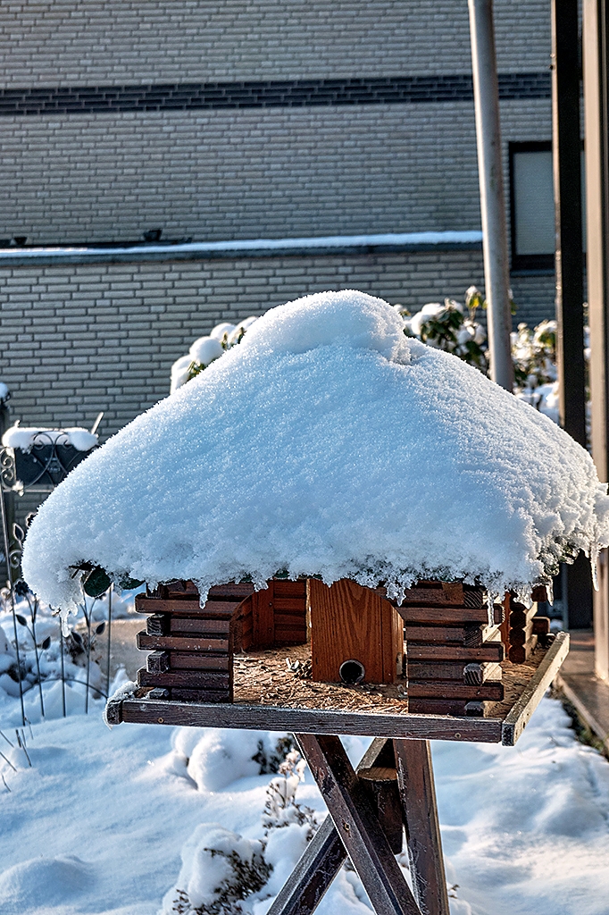 Der erste Schnee im Winter 22/23