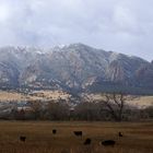 Der erste Schnee in Boulder