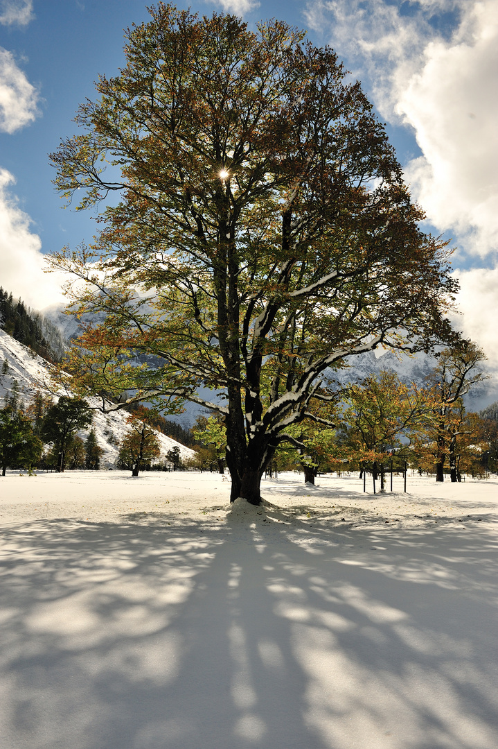 der erste Schnee in der Eng