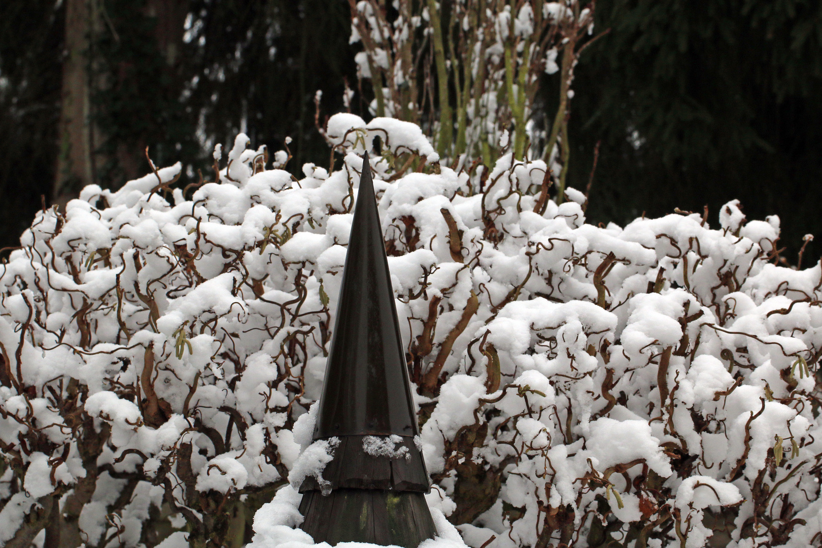 der erste Schnee in diesem Jahr