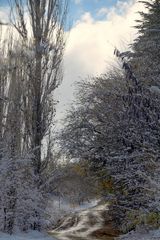 Der erste Schnee in diesem Jahr