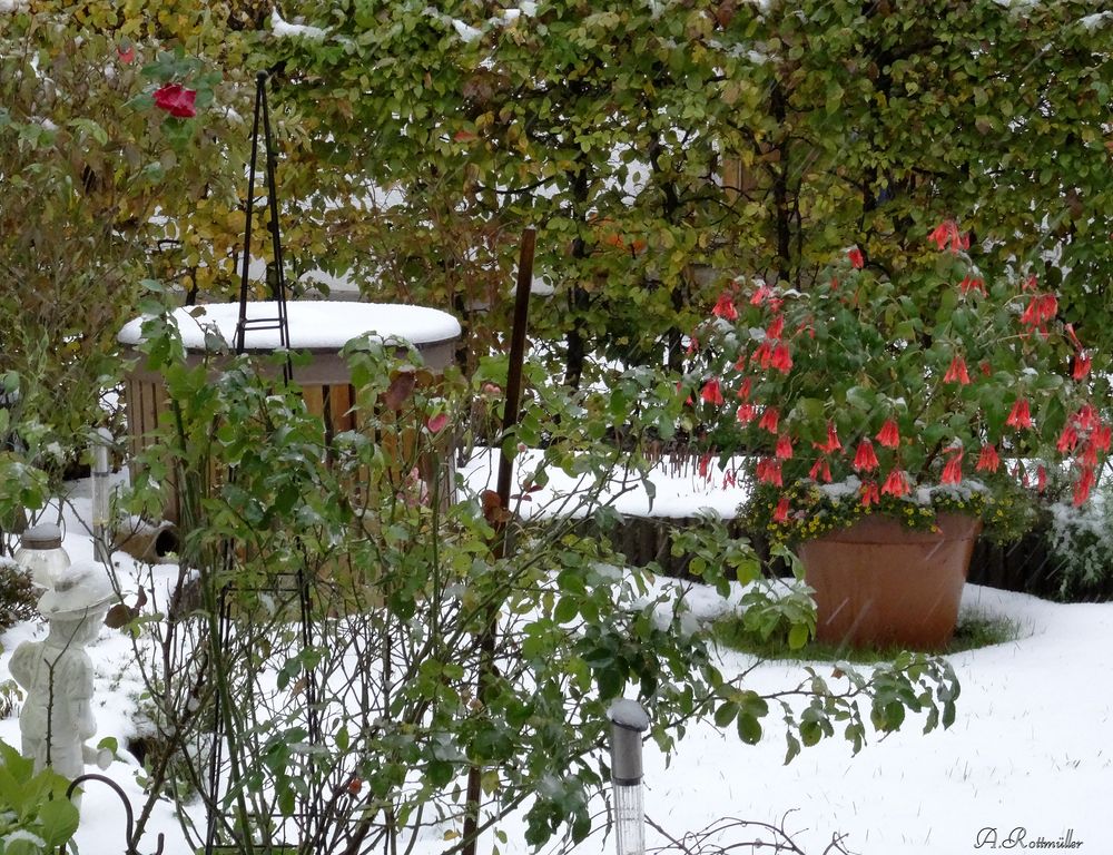 Der erste Schnee in diesem Jahr!