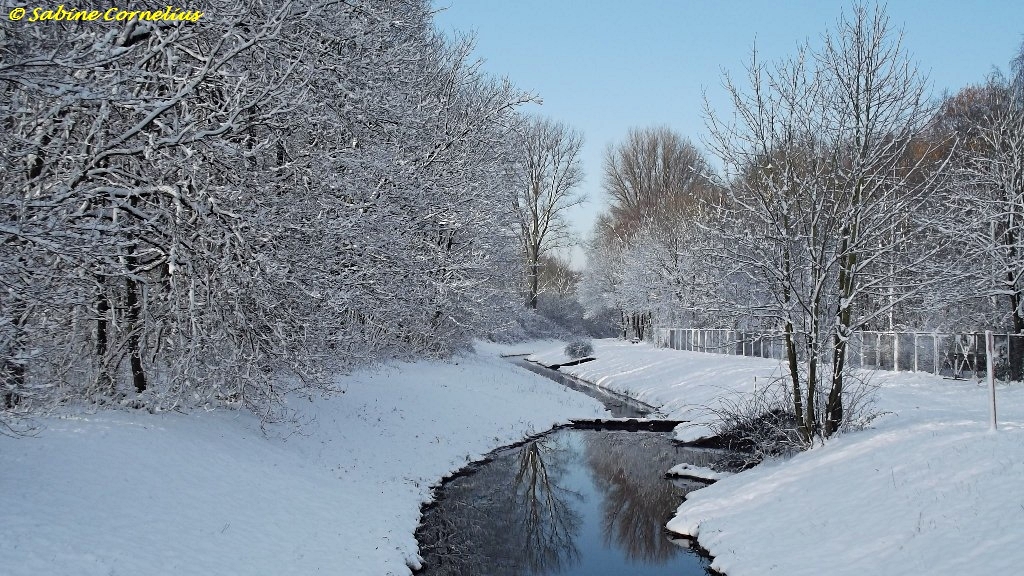 Der erste Schnee in Düsseldorf 08.12.2012