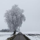 Der erste Schnee in München