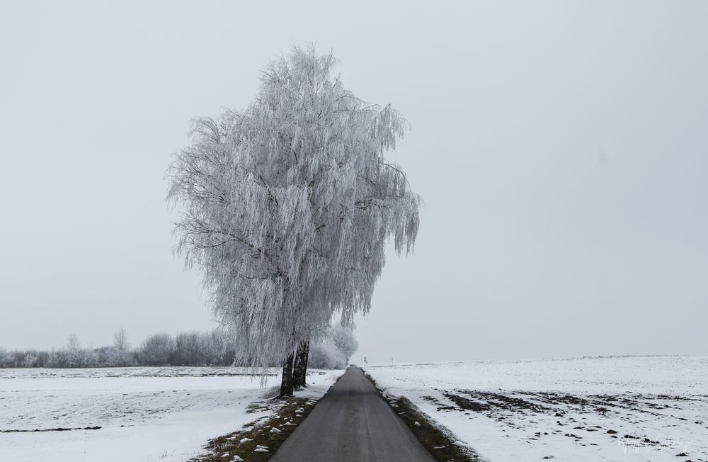 Der erste Schnee in München