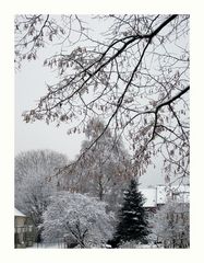 Der erste Schnee in NRW