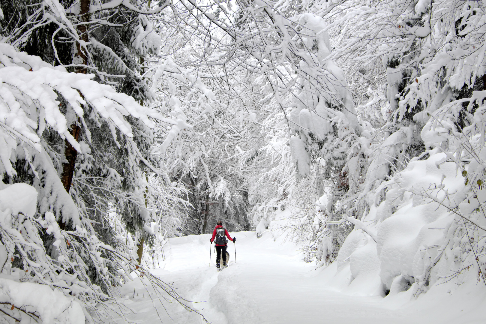 Der erste Schnee in Tirol