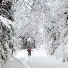 Der erste Schnee in Tirol