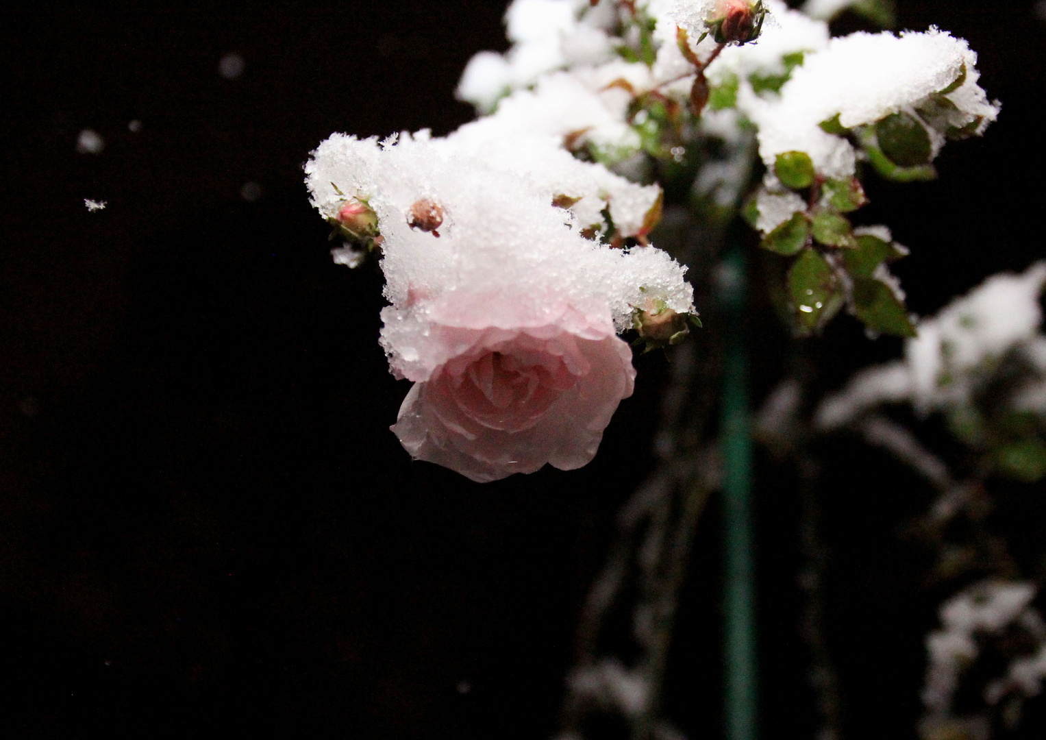 Der erste Schnee in Wuppertal