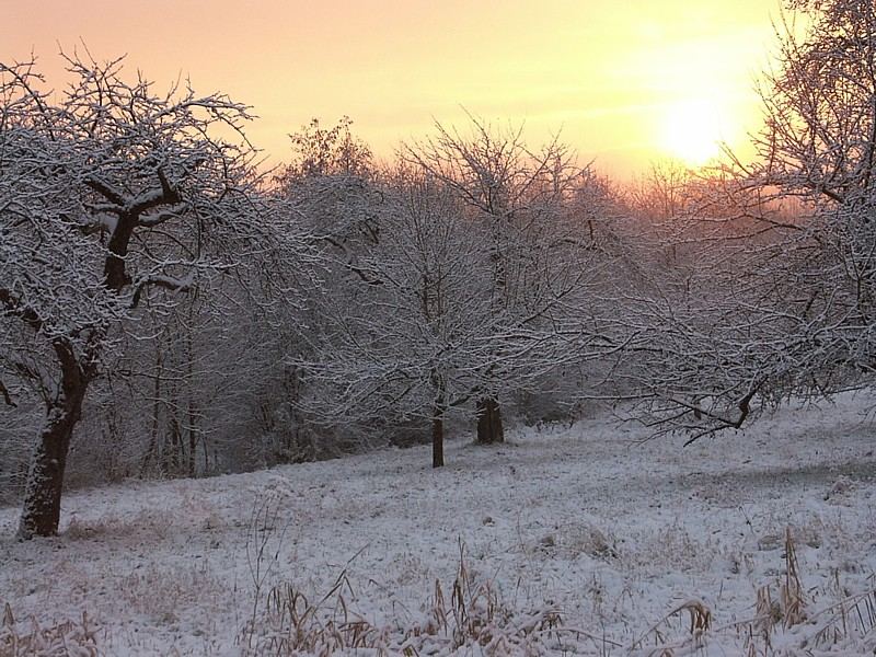 Der erste Schnee ist da:-)