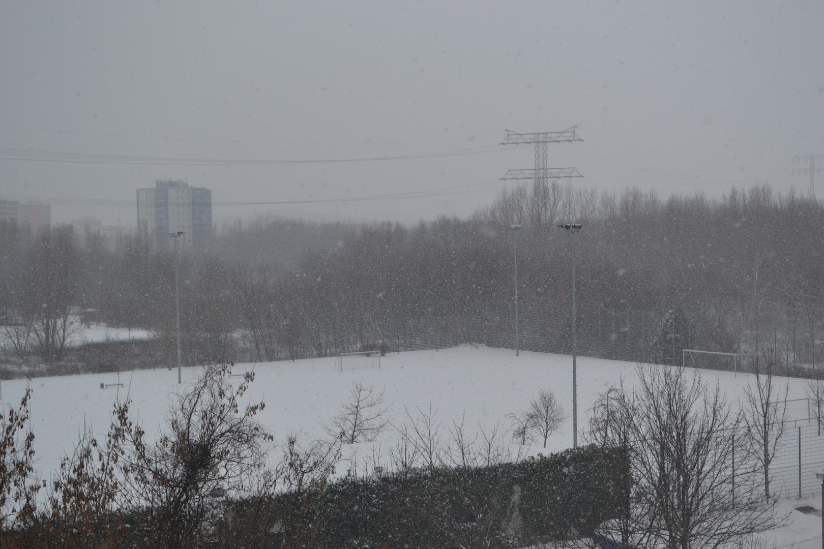 Der erste Schnee ist in Berlin angekommen