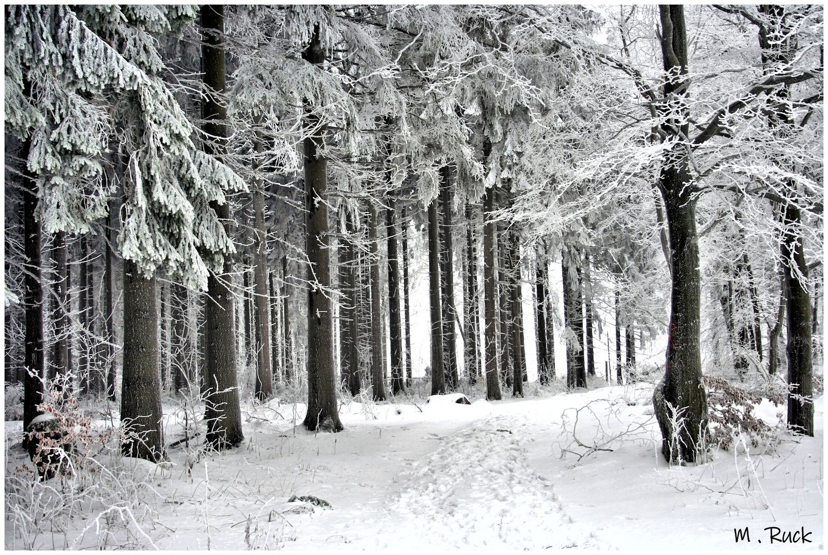 Der Erste Schnee kam heftig über Nacht 