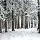 Der Erste Schnee kam heftig über Nacht 