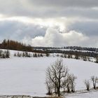 Der erste Schnee oben im Osterzgebirge in Fürstenau...