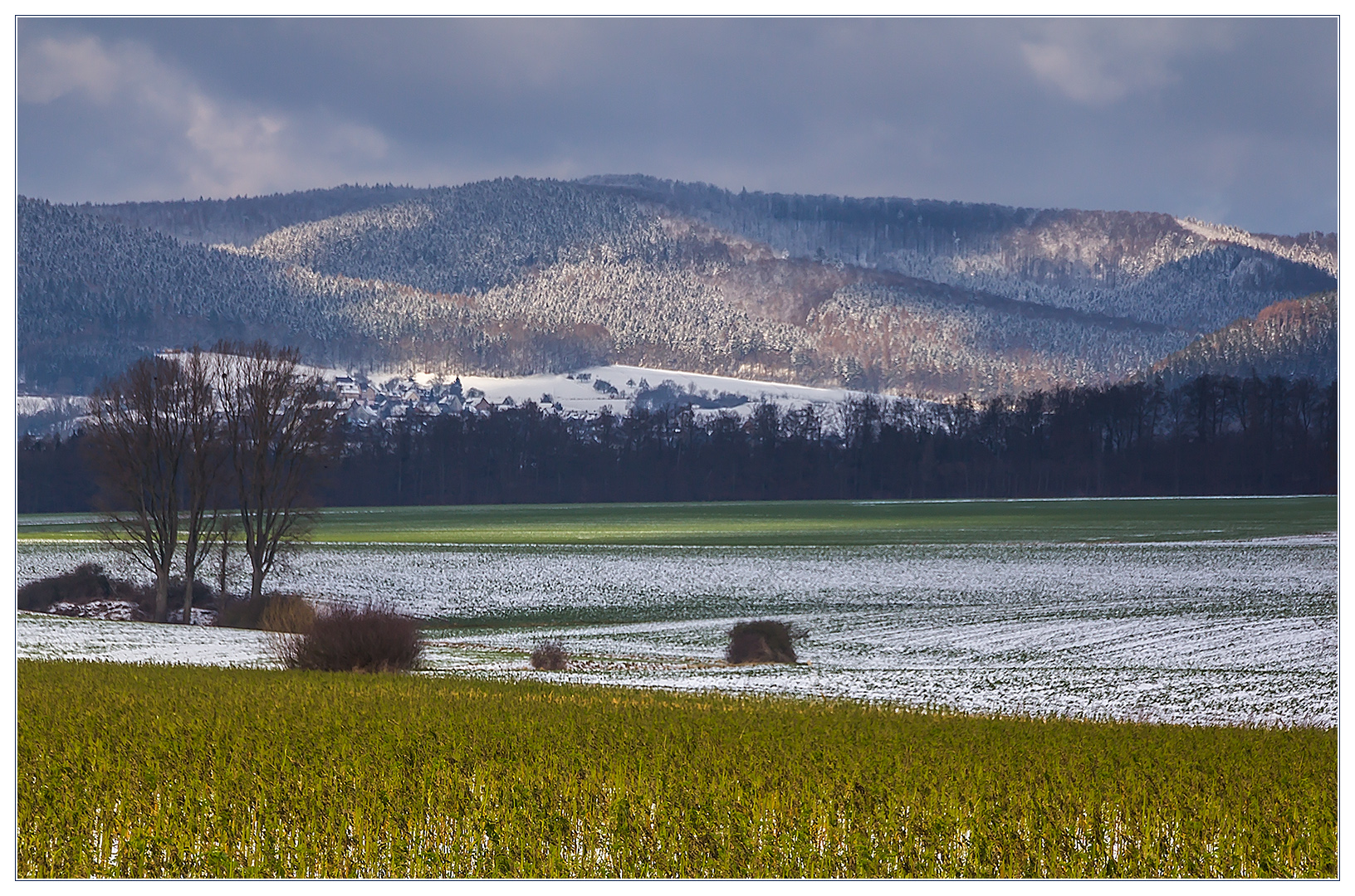 Der erste Schnee... - Spürst Du die feuchte Kälte... ?