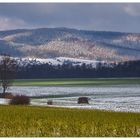 Der erste Schnee... - Spürst Du die feuchte Kälte... ?