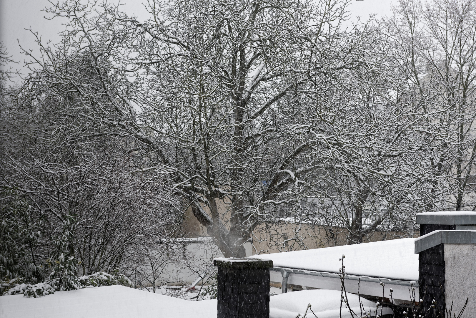 Winter Schnee Schneebilder Fenster Herren wintermantel