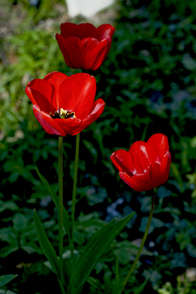 Der erste schöne Sonnentag im April