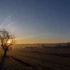 Der erste Sonnenaufgang 